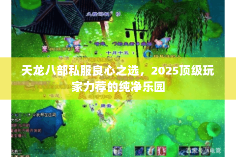 天龙八部私服良心之选,2025顶级玩家力荐的纯净乐园 天龙八部私服良心之选,2025顶级玩家力荐的纯净乐园