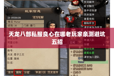 天龙八部私服良心在哪老玩家亲测避坑五招 天龙八部私服良心在哪老玩家亲测避坑五招