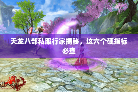 天龙八部私服行家揭秘,这六个硬指标必查 天龙八部私服行家揭秘,这六个硬指标必查