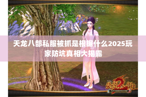 天龙八部私服被抓是根据什么2025玩家防坑真相大揭露 天龙八部私服被抓是根据什么2025玩家防坑真相大揭露