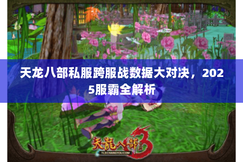 天龙八部私服跨服战数据大对决,2025服霸全解析 天龙八部私服跨服战数据大对决,2025服霸全解析