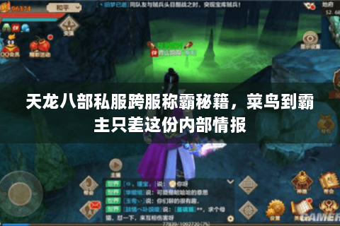 天龙八部私服跨服称霸秘籍,菜鸟到霸主只差这份内部情报 天龙八部私服跨服称霸秘籍,菜鸟到霸主只差这份内部情报