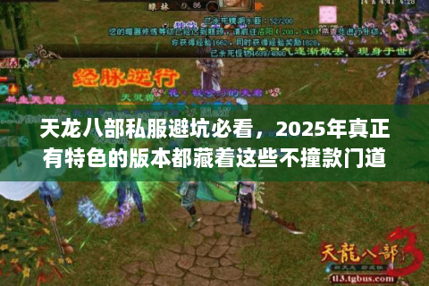 天龙八部私服避坑必看,2025年真正有特色的版本都藏着这些不撞款门道 天龙八部私服避坑必看,2025年真正有特色的版本都藏着这些不撞款门道