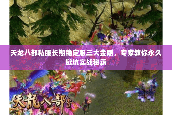 天龙八部私服长期稳定服三大金刚,专家教你永久避坑实战秘籍 天龙八部私服长期稳定服三大金刚,专家教你永久避坑实战秘籍