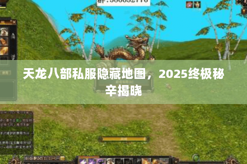 天龙八部私服隐藏地图，2025终极秘辛揭晓