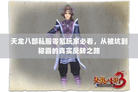 天龙八部私服零氪玩家必看,从被坑到称霸的真实反转之路 天龙八部私服零氪玩家必看,从被坑到称霸的真实反转之路