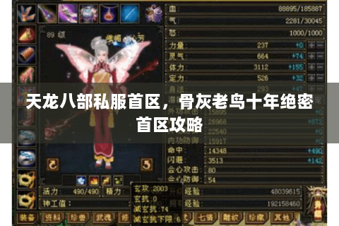 天龙八部私服首区,骨灰老鸟十年绝密首区攻略 天龙八部私服首区,骨灰老鸟十年绝密首区攻略