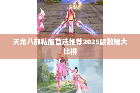 天龙八部私服首选推荐2025版数据大比拼 天龙八部私服首选推荐2025版数据大比拼