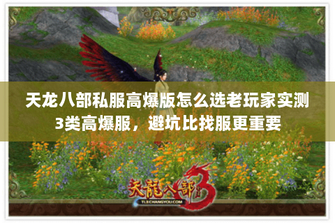 天龙八部私服高爆版怎么选老玩家实测3类高爆服,避坑比找服更重要 天龙八部私服高爆版怎么选老玩家实测3类高爆服,避坑比找服更重要