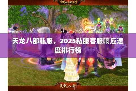 天龙八部私服,2025私服客服响应速度排行榜 天龙八部私服,2025私服客服响应速度排行榜
