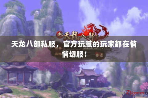 天龙八部私服，官方玩腻的玩家都在悄悄切服！