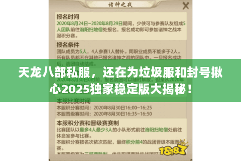 天龙八部私服，还在为垃圾服和封号揪心2025独家稳定版大揭秘！