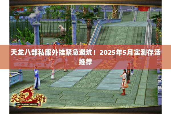 天龙八部私服外挂紧急避坑!2025年5月实测存活推荐 天龙八部私服外挂紧急避坑!2025年5月实测存活推荐