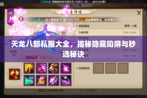 天龙八部私服大全,揭秘隐藏陷阱与秒选秘诀 天龙八部私服大全,揭秘隐藏陷阱与秒选秘诀