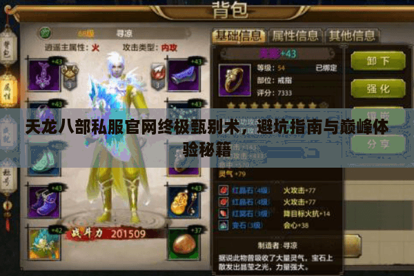 天龙八部私服官网终极甄别术,避坑指南与巅峰体验秘籍 天龙八部私服官网终极甄别术,避坑指南与巅峰体验秘籍