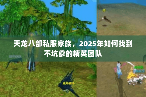 天龙八部私服家族，2025年如何找到不坑爹的精英团队