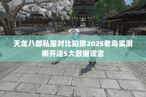 天龙八部私服对比陷阱2025老鸟实测撕开这5大数据谎言