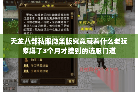 天龙八部私服微笑版究竟藏着什么老玩家蹲了3个月才摸到的选服门道 天龙八部私服微笑版究竟藏着什么老玩家蹲了3个月才摸到的选服门道
