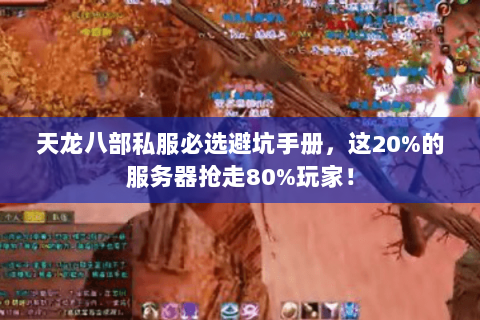 天龙八部私服必选避坑手册，这20%的服务器抢走80%玩家！