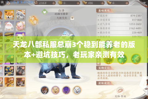 天龙八部私服总崩3个稳到能养老的版本+避坑技巧,老玩家亲测有效 天龙八部私服总崩3个稳到能养老的版本+避坑技巧,老玩家亲测有效