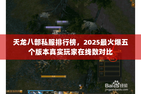 天龙八部私服排行榜,2025最火爆五个版本真实玩家在线数对比 天龙八部私服排行榜,2025最火爆五个版本真实玩家在线数对比
