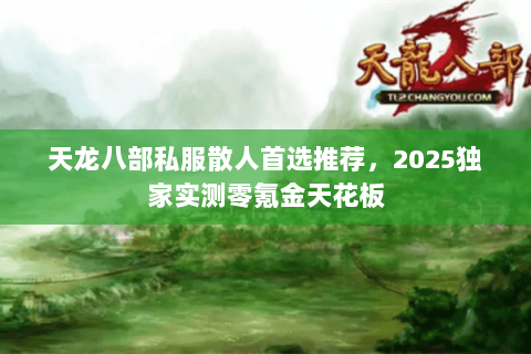 天龙八部私服散人首选推荐,2025独家实测零氪金天花板 天龙八部私服散人首选推荐,2025独家实测零氪金天花板