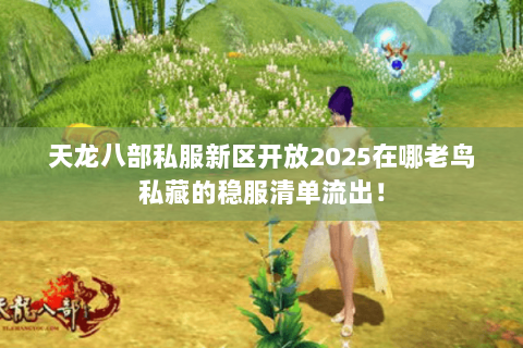 天龙八部私服新区开放2025在哪老鸟私藏的稳服清单流出! 天龙八部私服新区开放2025在哪老鸟私藏的稳服清单流出!