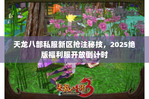 天龙八部私服新区抢注秘技,2025绝版福利服开放倒计时 天龙八部私服新区抢注秘技,2025绝版福利服开放倒计时