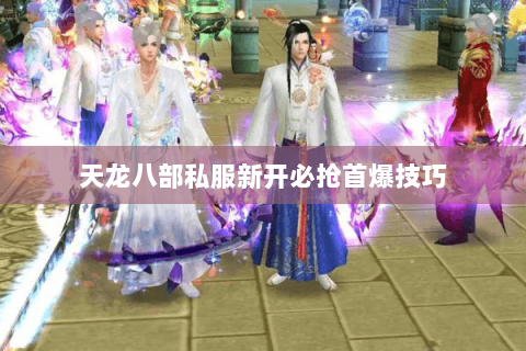 天龙八部私服新开必抢首爆技巧 天龙八部私服新开必抢首爆技巧