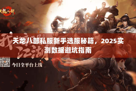 天龙八部私服新手选服秘籍,2025实测数据避坑指南 天龙八部私服新手选服秘籍,2025实测数据避坑指南