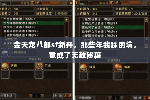 金天龙八部sf新开，那些年我踩的坑，竟成了无敌秘籍