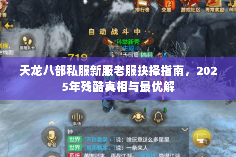 天龙八部私服新服老服抉择指南,2025年残酷真相与最优解 天龙八部私服新服老服抉择指南,2025年残酷真相与最优解