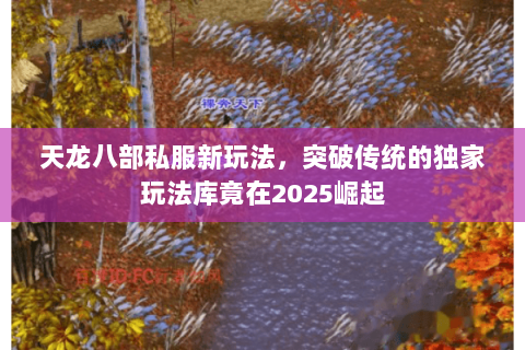 天龙八部私服新玩法,突破传统的独家玩法库竟在2025崛起 天龙八部私服新玩法,突破传统的独家玩法库竟在2025崛起