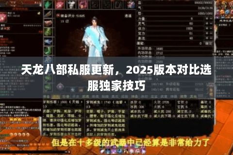 天龙八部私服更新，2025版本对比选服独家技巧