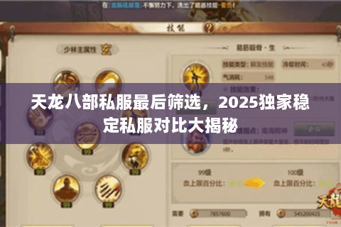 天龙八部私服最后筛选,2025独家稳定私服对比大揭秘 天龙八部私服最后筛选,2025独家稳定私服对比大揭秘