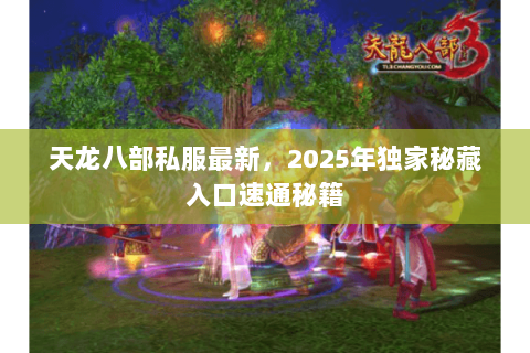 天龙八部私服最新，2025年独家秘藏入口速通秘籍