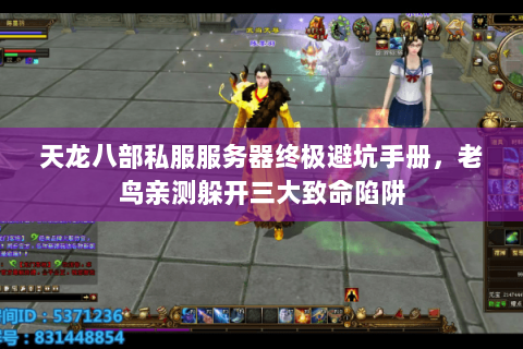 天龙八部私服服务器终极避坑手册，老鸟亲测躲开三大致命陷阱