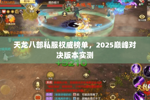 天龙八部私服权威榜单,2025巅峰对决版本实测 天龙八部私服权威榜单,2025巅峰对决版本实测