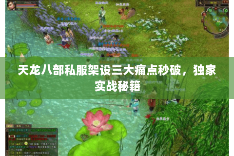 天龙八部私服架设三大痛点秒破,独家实战秘籍 天龙八部私服架设三大痛点秒破,独家实战秘籍