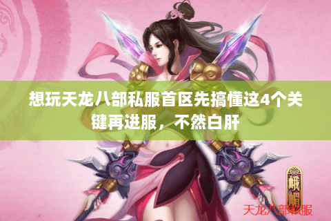 想玩天龙八部私服首区先搞懂这4个关键再进服,不然白肝 想玩天龙八部私服首区先搞懂这4个关键再进服,不然白肝