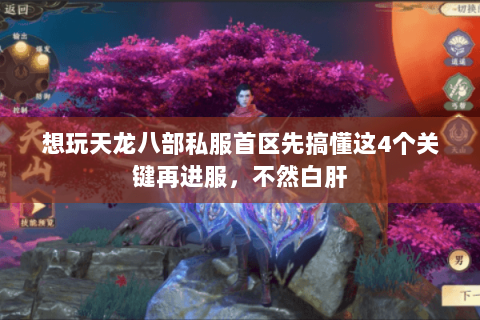 想玩天龙八部私服首区先搞懂这4个关键再进服,不然白肝 想玩天龙八部私服首区先搞懂这4个关键再进服,不然白肝