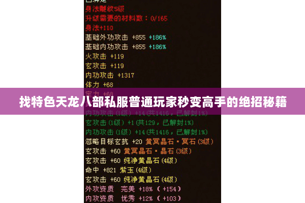 找特色天龙八部私服普通玩家秒变高手的绝招秘籍 找特色天龙八部私服普通玩家秒变高手的绝招秘籍