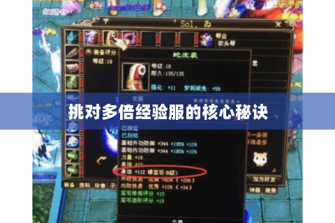 挑对多倍经验服的核心秘诀 挑对多倍经验服的核心秘诀