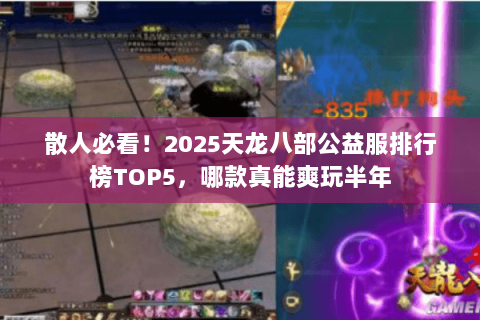 散人必看!2025天龙八部公益服排行榜TOP5,哪款真能爽玩半年 散人必看!2025天龙八部公益服排行榜TOP5,哪款真能爽玩半年
