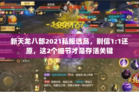 新天龙八部2021私服选品,别信1:1还原,这2个细节才是存活关键 新天龙八部2021私服选品,别信1:1还原,这2个细节才是存活关键