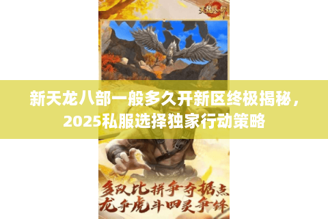 新天龙八部一般多久开新区终极揭秘,2025私服选择独家行动策略 新天龙八部一般多久开新区终极揭秘,2025私服选择独家行动策略