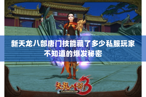 新天龙八部唐门技能藏了多少私服玩家不知道的爆发秘密 新天龙八部唐门技能藏了多少私服玩家不知道的爆发秘密