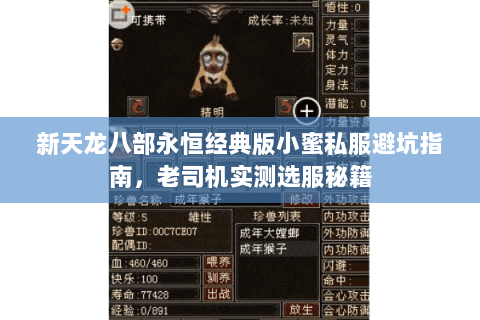 新天龙八部永恒经典版小蜜私服避坑指南,老司机实测选服秘籍 新天龙八部永恒经典版小蜜私服避坑指南,老司机实测选服秘籍