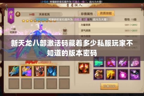 新天龙八部激活码藏着多少私服玩家不知道的版本密码 新天龙八部激活码藏着多少私服玩家不知道的版本密码