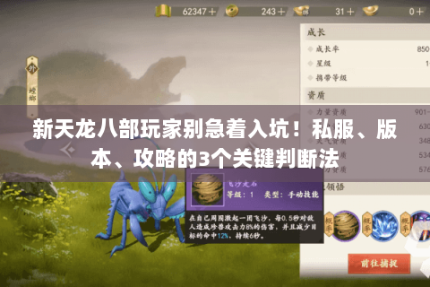 新天龙八部玩家别急着入坑!私服、版本、攻略的3个关键判断法 新天龙八部玩家别急着入坑!私服、版本、攻略的3个关键判断法